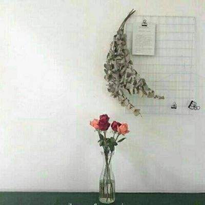 贪吃蛇无尽大作战破解版下载