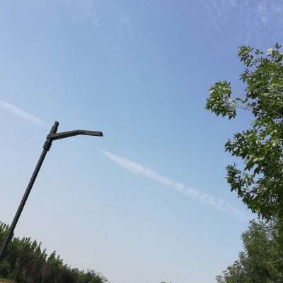 师妹莫走公益服手游下载